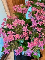 2022年5月レッスンのふり返り