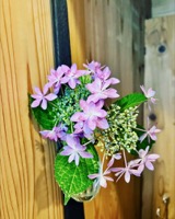 2022年6月レッスンのふり返り