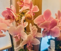 2023年2月レッスンふり返り