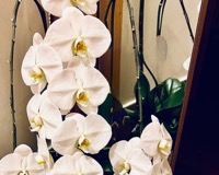 2023年3月レッスンふり返り