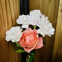 2023年4月レッスンふり返り