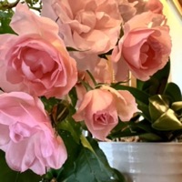 2023年6月レッスンふり返り