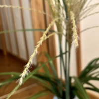 2023年8月レッスンふり返り