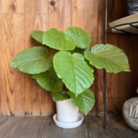 2023年9〜10月レッスンふり返り