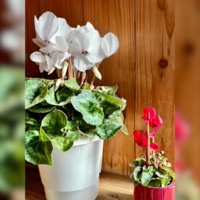 2023年11月レッスンふり返り