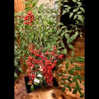 2024年 新年のごあいさつと新年会のふり返り