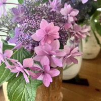 2024年4〜5月レッスンふり返り