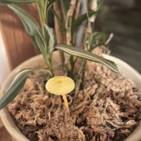 2024年発表会後〜お盆休みのふり返り