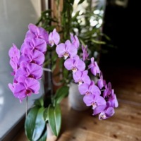 2024年9月レッスンふり返り