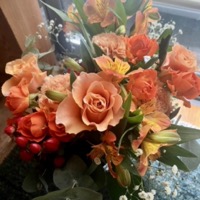 2024年11月レッスンふり返り