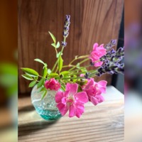 2025年5〜6月レッスンふり返り