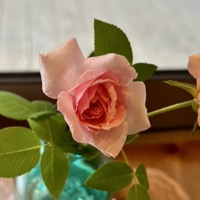 2025年7月レッスンふり返り