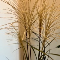 2025年8月レッスンふり返り