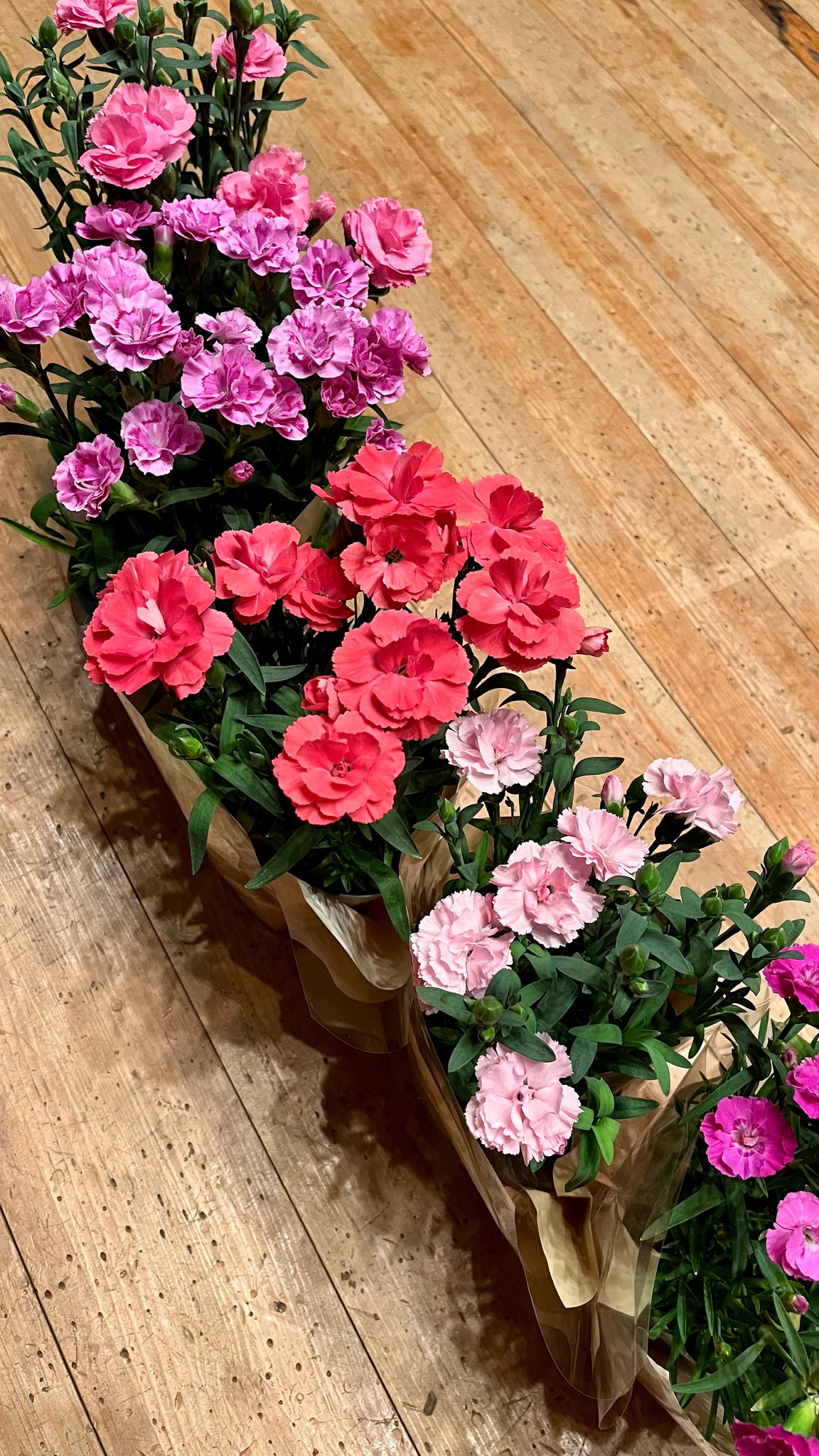 ピアノ発表会 032